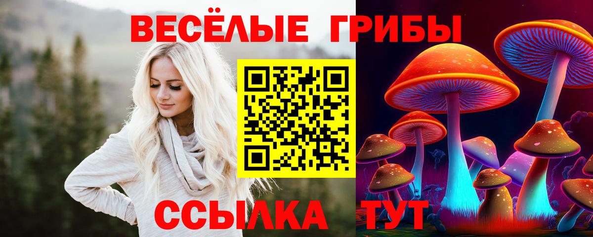 Галлюциногенные грибы прущие грибы  Псилоцибиновые грибы Cubensis  Вход с VPN  Лиски 